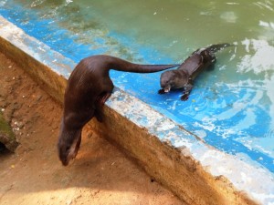 Patna Zoo